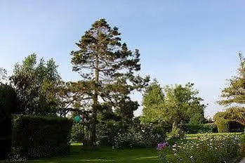 Guest house Les Hauts D'etretat 3*